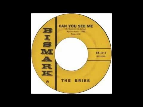The Briks — The Briks - Can You See Me