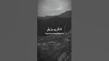 القران الكريم سوره الكهف القارئ الشيخ فارس عباد صوت جميل #القرآن_الكريم