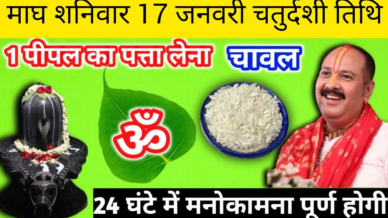 माघ शनिवार 17 जनवरी चतुर्दशी तिथि को 1 पीपल का पत्ता और चावल का उपाय करें| pandit pradeep mishra