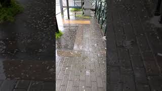 heavy downpour ♥️ #music #travel #nature