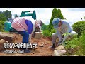 【田舎暮らし】みんな大好き!庭の模様替えをしました!【仲良し夫婦のvlog】【山口県】