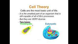 U2 1.1 Concept 1 Notes - Cell Theory and Organelles.mp4