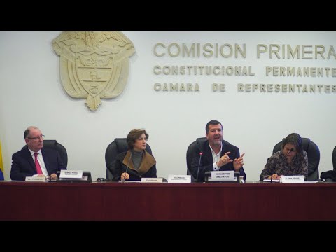 Deforestación y Cambio Climático en la lupa de Comisión liderada por Representante Julia Miranda
