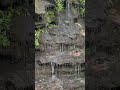 Ada-Hi Falls at Black Rock Mountain State Park