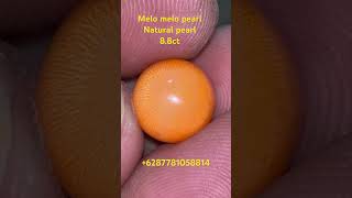 Melo melo pearl #melopearl #naturalpearls