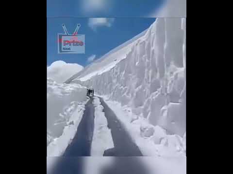 آیا باورتان میشه این سالنگ شمالی باشه 