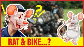Why Motorcyclist Likes Rats...? What Is Rat Bike?