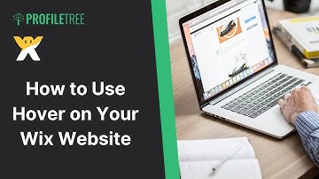How to Use Hover on Your Wix Website | Wix | Wix for Beginners | Wix Website | Wix Tutorial