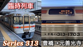 【臨時列車】313系J173編成　臨時快速さわやかウォーキング号元善光寺行き　豊橋→元善光寺