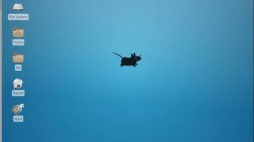 SQL Injection and Data Exfiltration Using DNS