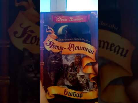 ПРОРОЧЕСТВО СИНЕЙ ЗВЕЗДЫ/НАЧАЛО и ВЫБОР/обзор/