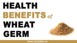 Health Benefits Of Wheat Germ