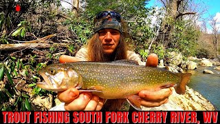 Trout Fishing Cherry River WEST VIRGINIA
