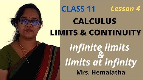 Calculus L4 | Infinite limits & limits at infinity | Tamil @AlexMaths @SLMathsTamil @mathsmasti