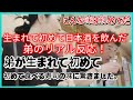 こんな味は初めてだ , 生まれて初めて日本酒を飲んだ弟のリアル反応！初めて食べる寿司の味に驚きました。