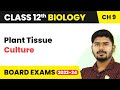 Plant Tissue Culture - Strategies for Enhancement in Food Production | Class 12 Biology