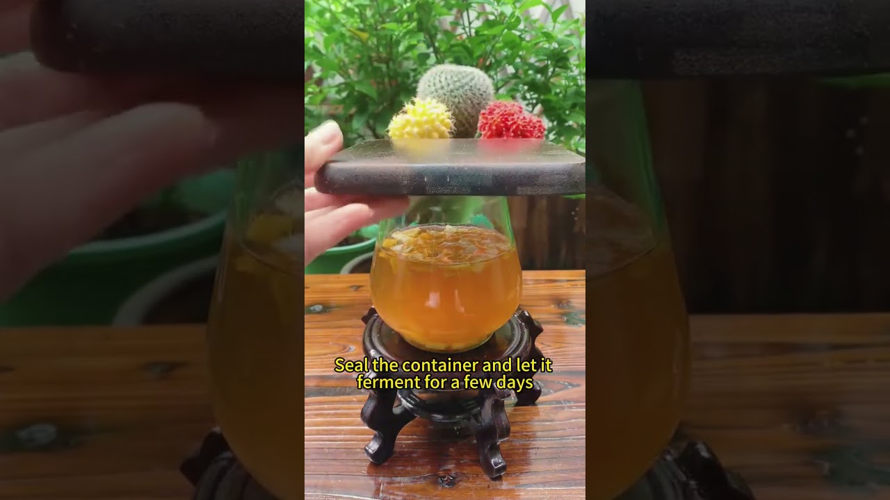 🌼✨Как заставить растения цвести как сумасшедшие – Тоник для цветения своими руками 🌻💥 