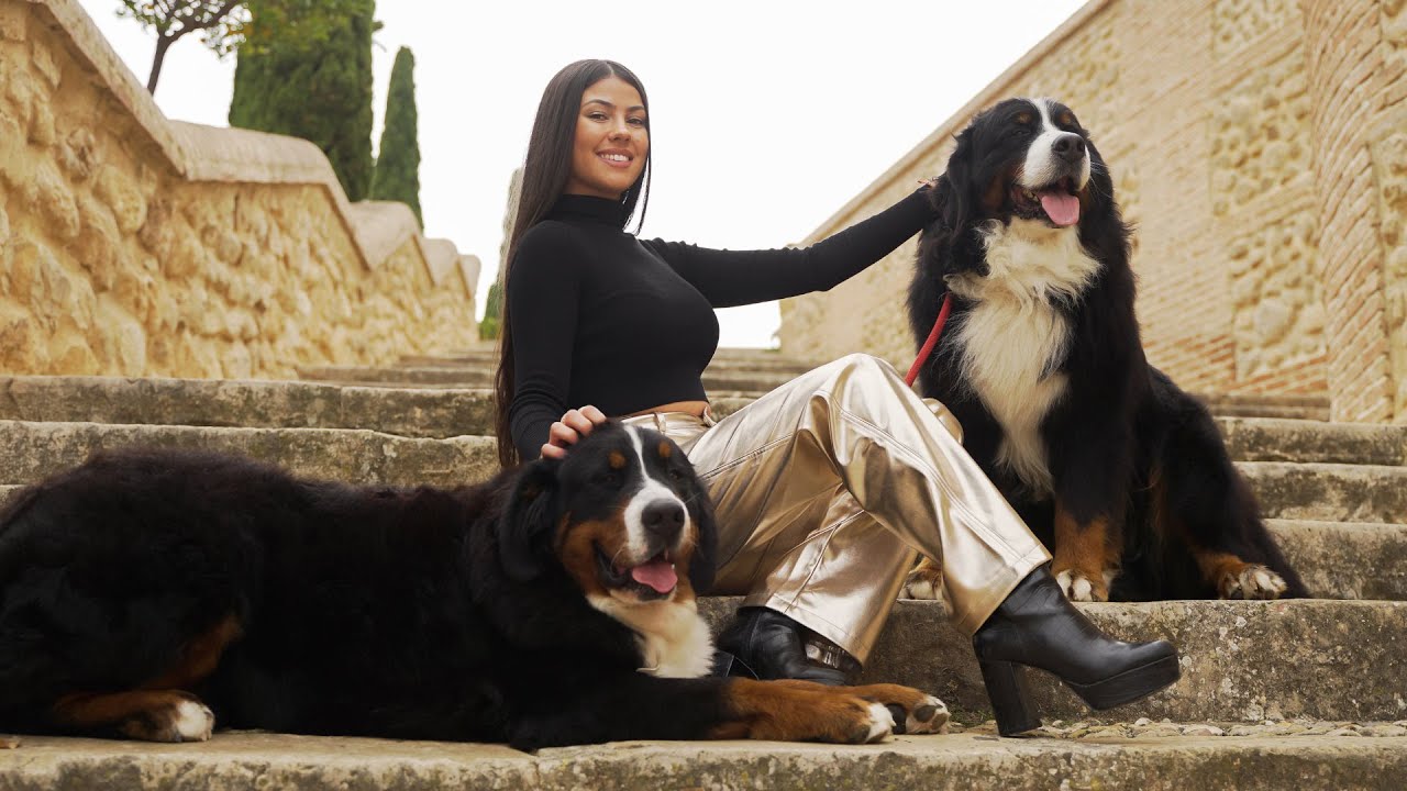 Paula Díez - Válgame Dios (Cover)