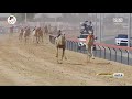 الشوط 4 سيف الامارات الحول المفتوح عجايب لـ هجن العاصفة 12 00 9 ختامي المرموم 2021 4 12 حول زمول 