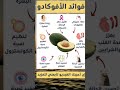 فوائد الأفوكادو 