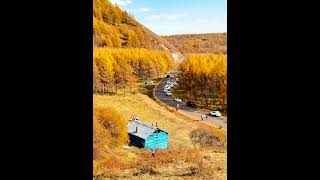 The Greater Xing an Range Is About To Enter Its Most Beautiful Season autumn nature travel