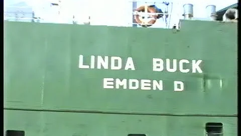 Stranding Linda Buck, februari 1993.
