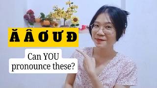 Vietnamese Alphabet: Full Guide & Pronunciation Practice | Southern Accent