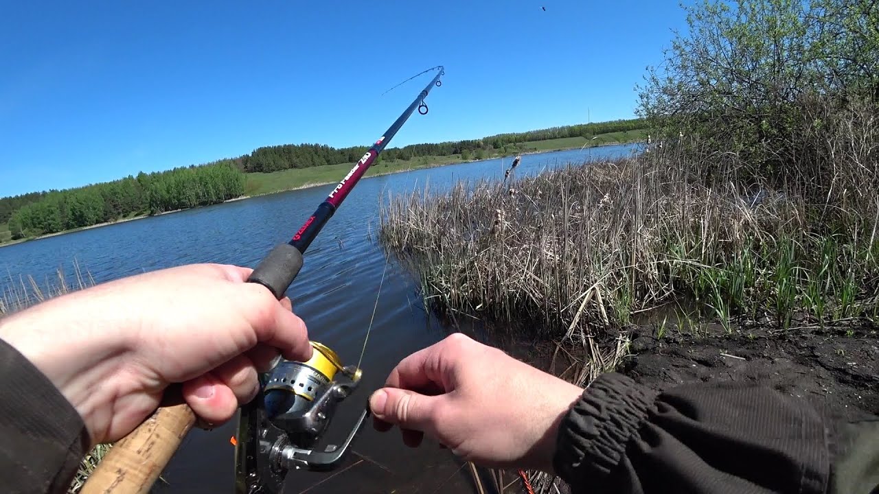 КАРАСЬ НА СПРЕЙ С ЧЕСНОКОМ. Первые весенние поклёвки на поплавок