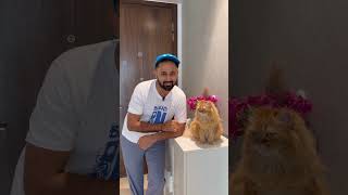 3 signs your cat is truly happy with you! #catreaction #funnycatvideos #catvideo