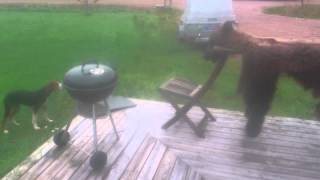 MOV 0600