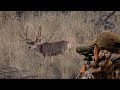 Wildlifers TV - "Paunsaugunt Mule Deer Bow Hunt"