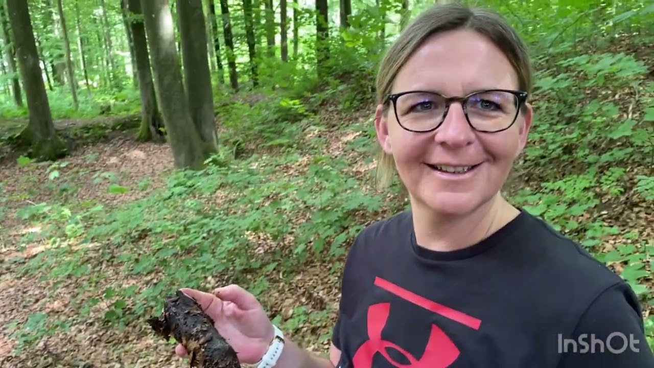 Pilze im Mai | viele Arten und eine große Überraschung
