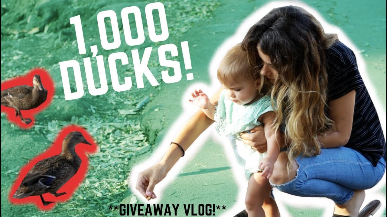 LET'S FEED THE DUCKS **GIVEAWAY!**