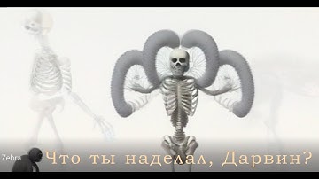 Music video about zebra