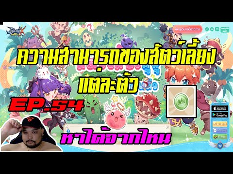 ROX EP.54 : สัตว์เลี้ยงหาได้จากไหน + ความสามารถแต่ละตัวทำไรได้ - จบในคลิปนี้