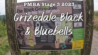 Grizedale Black into Bluebells MTB Trail  - PMBA Stage 3 2023 - Graythwaite Enduro MTB