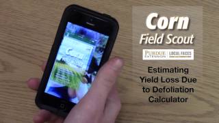 Purdue Corn Field Scout — Estimating Yield Loss Due to Defoliation Calculator