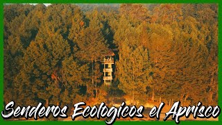 Senderos Ecológico el Aprisco - Totonicapan