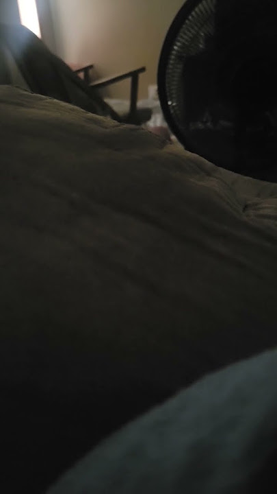 Things about to go down!