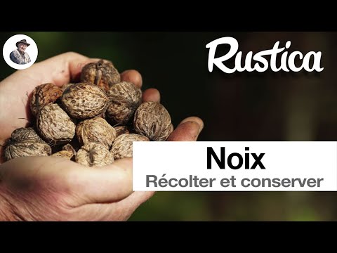 Vidéo: Comment Conserver Les Noix