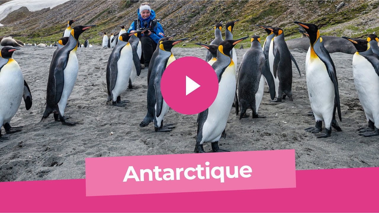 ANTARCTIQUE aux confins du monde  (bande annonce)