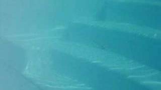 Peche Au Leurre Ecogear