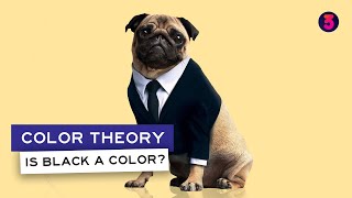 Color Theory: Is black a color? Is Blacka Color