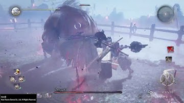 Nioh Onyokri boss fight with an axe