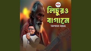 Download Lagu Lichur Bagane Download Lagu Lichur Bagane