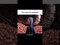 A VIDA ANTES DA PANDEMIA...  #edit #pandemia  #vidaantesdapandenia