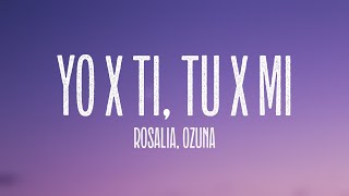 Yo x Ti, Tu x Mi - Rosalia, Ozuna [Lyrics Video]