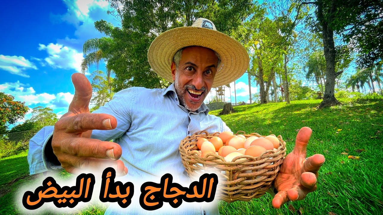 العمل في رمضان 🤒 دجاجنا دخل مرحلة البيض 🥚 الثعبان المسكين 😂