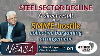 Gerhard Papenfus Steel Sector Decline Driven By Smme-Hostile Collective Bargaining.