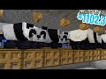 NUOVA FARM per il PANDA MARRONE - Minecraft ITA SURVIVAL #1102.3